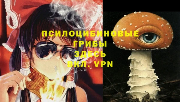 МДПВ Алексин