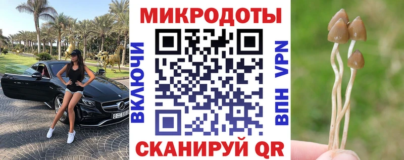 Галлюциногенные грибы Psilocybine cubensis  Буй 