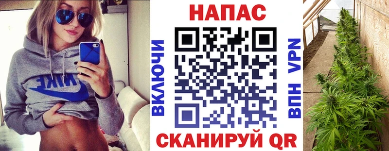 Бошки Шишки марихуана  Буй 